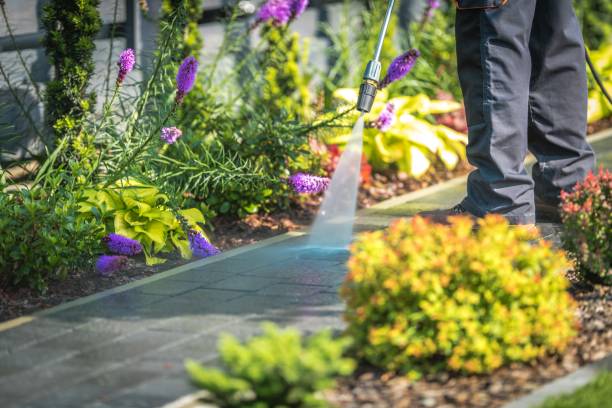 Trusted Galena Park, TX Pressure Washing Experts